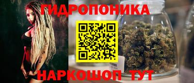 гашик Моздок