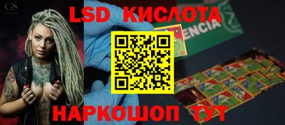 гашик Моздок