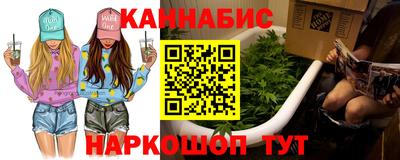 гашик Моздок