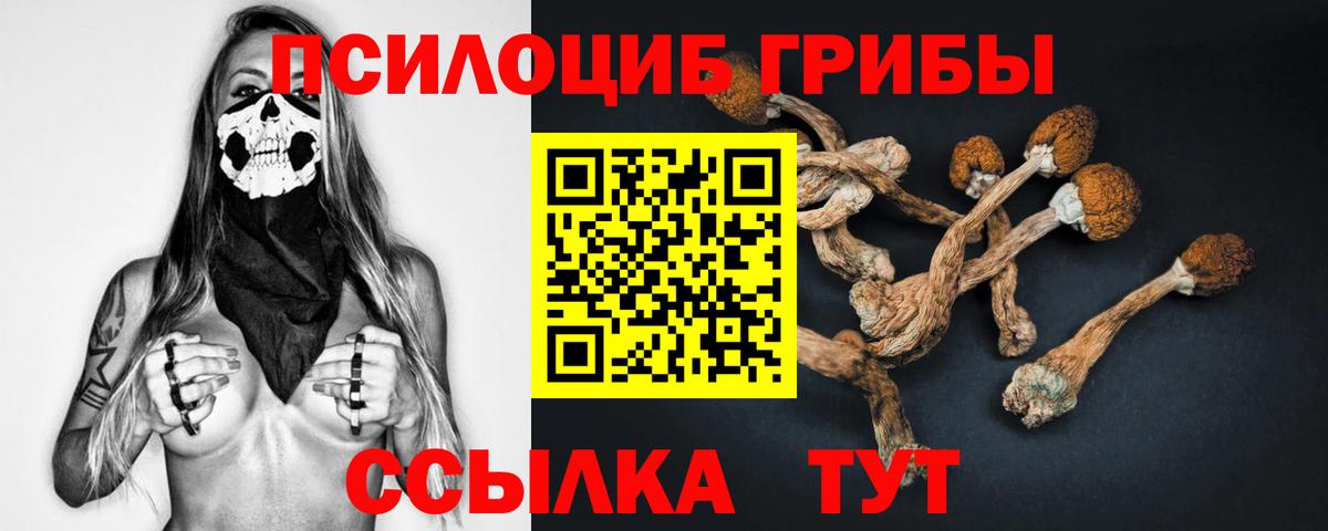 Ступино  Галлюциногенные грибы ЛСД  Вход с VPN 